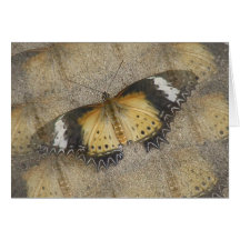 Orange and Black Moth Greeting Card