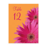 Orange and Pink Gerbera Daisy Table Number Card postcards