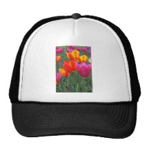 Orange and Pink Tulips Trucker Hats