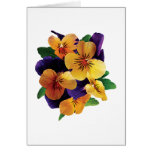 Orange and Purple Pansies Greeting Cards