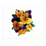 Orange and Purple Pansies Postcards