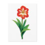 Orange and White Amaryllis Postcards