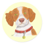 Orange and White Brittany stickers