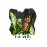 Orange and White Butterfly with text Photograph photo sculptures