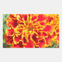 Orange and Yellow Marigold Stickers