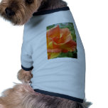 Orange and Yellow Striped Rose pet clothing