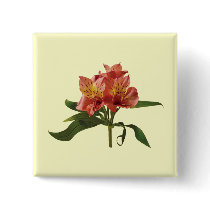 Orange Asiatic Lilies Pins