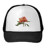 Orange Asiatic Lilies Mesh Hats