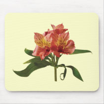 Orange Asiatic Lilies Mouse Mats