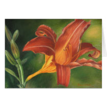 Orange Asiatic Lily Cards