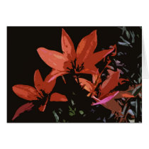 Orange Asiatic Lily Greeting Card