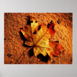 Orange Autumn Leaf Poster posters