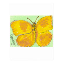 Orange Barred Giant Sulphur Butterfly Post Card