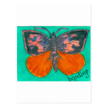 Orange Barred Giant Sulphur Postcard