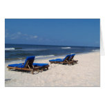 Orange Beach 18 cards