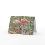 Orange Berries Greeting Card