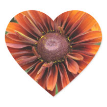 Orange Black Eyed Susan Sticker