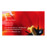 Orange Blazing glory flowers Business Cards