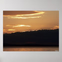 Orange Blossom Sunset Poster posters