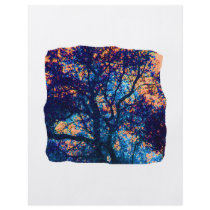 Orange Blue Oak Tree Abstract Branch