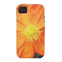 Orange Burst iPhone 4/4S Cases