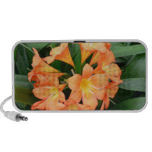 Orange Bush Lily Flower or Natal Lily Notebook Speaker