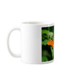 Orange Butterfly mugs