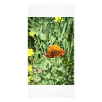 Orange Butterfly Photo Card Template