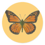 Orange Butterfly Sticker