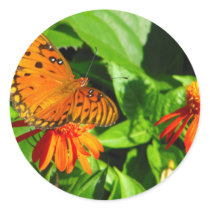 Orange Butterfly Upclose Stickers
