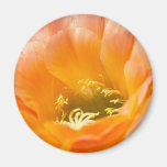 Orange Cacti Flower Refrigerator Magnet