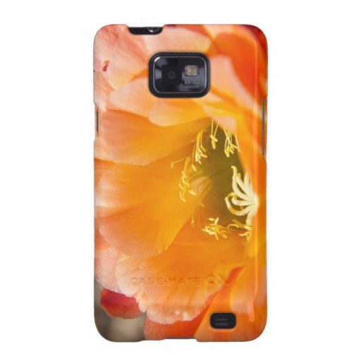 Orange Cacti Flower Samsung Galaxy S2 Cover