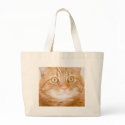 Orange cat bags