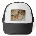 Orange Cat Eyes hats