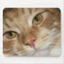 Orange Cat Eyes Mouse Mats