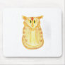 Orange Cat Mouse Pads