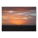 Orange Coloured Sky cards