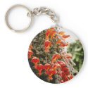 Orange Columnea Gloriosa Goldfish Plant flowers keychains