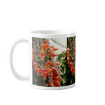 Orange Columnea Gloriosa Goldfish Plant flowers Coffee Mug
