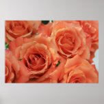 Orange Cut Roses on Canvas Print