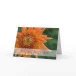 Orange Dahlia • Birthday Card