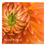 Orange Dahlia DSC4447 Personalized Invitations