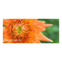 Orange Dahlia DSC4448 Custom Announcement