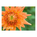 Orange Dahlia DSC4448 Invitations