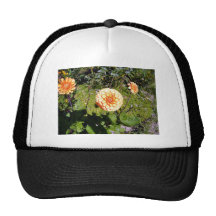 Orange Dahlia flower in garden Mesh Hat