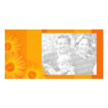 Orange Daisies personalised photo card photo cards