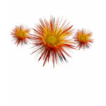 Orange Daisies, razor cut shirt