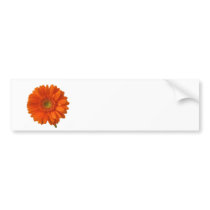Orange Daisy Bumper Sticker