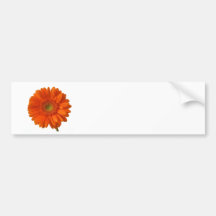 Orange Daisy Bumper Sticker
