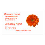 Orange Daisy Business Card